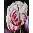 Obraz Tulipany, 60×80 cm, olej na płótnie, 2020