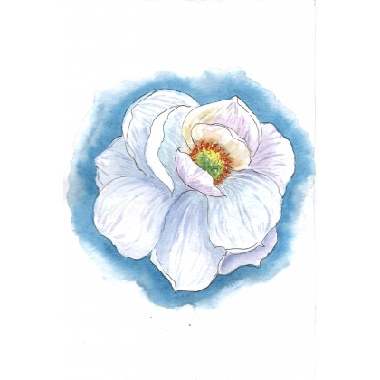 Yunona Kucherevska - obrazy akwarela - Biały kwiat foto #2