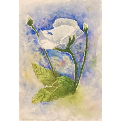 Bohomazy Obrazy - obrazy akwarela - Biała róża foto #2