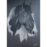 Gray horse