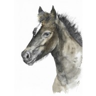 Koń - obraz akwarelowy