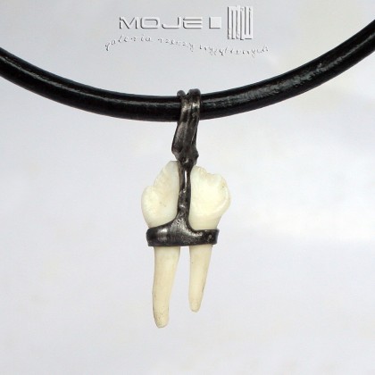 Moje MW - biżuteria męska - Ząb dzika 01 foto #1