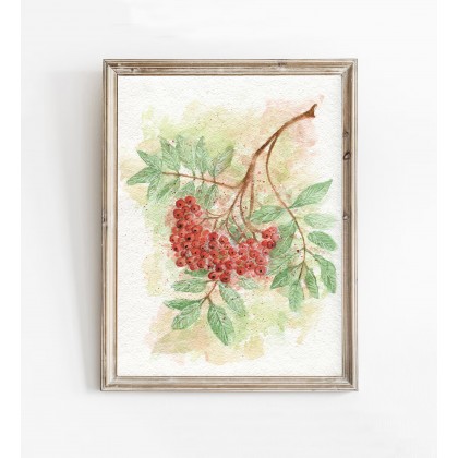 Akwarela A4. Jarzębina I, Małgorzata Domańska ART, obrazy akwarela