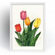Akwarela A4. Tulipany