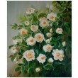 Róże obraz olejny 60-50cm
