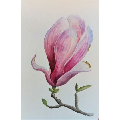 Magnolia, Yunona Kucherevska, obrazy akwarela