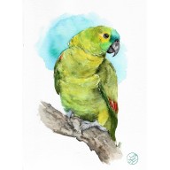 Papuga - obraz akwarelowy
