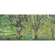 Wierzby - Niedziela, 120x60