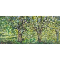 Wierzby - Niedziela, 120x60