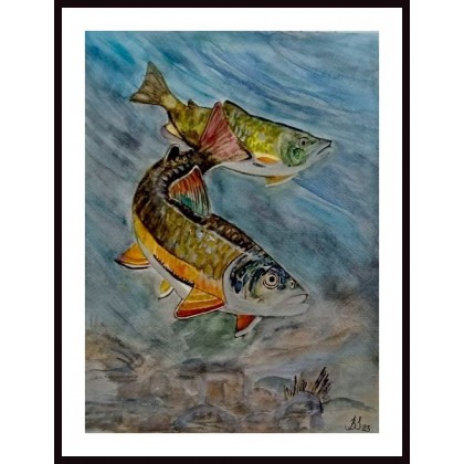 Ryby., Bogumiła Szufnara, obrazy akwarela