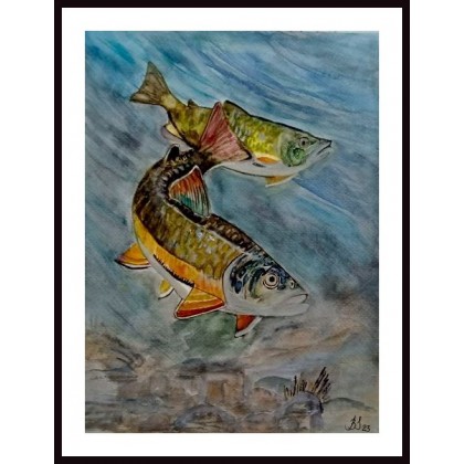 Ryby.Wym  240x320 mm, Bogumiła Szufnara, obrazy akwarela