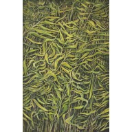 ORGANIKA  - OLEJ  - 90X60