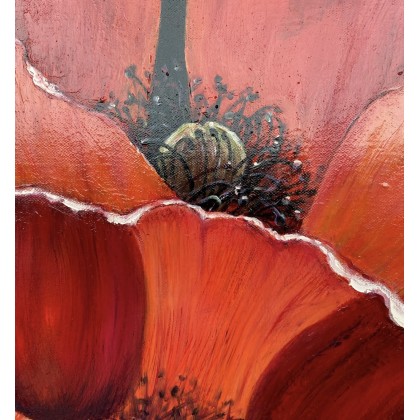 Myroslava Burlaka - obrazy olejne - Kwiat maku. foto #1