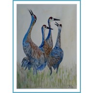 Żurawie. /240x320 mm/