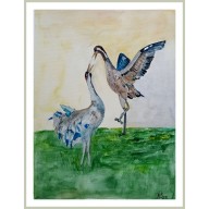 ZALOTY  ŻURAWI. /240X320 MM/