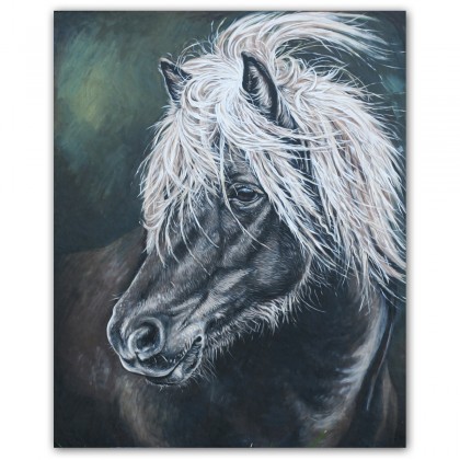 Koń Huculski - obraz olejny, Joanna Podolska, obrazy olejne
