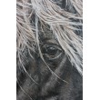 Koń Huculski - obraz olejny