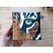 Tygrys/oko - 10x10cm
