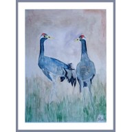 Żurawie 240x320 mm