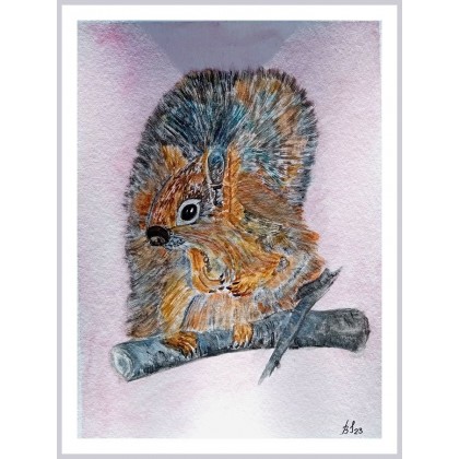 Wiewiórka I. /240x320 mm/, Bogumiła Szufnara, obrazy akwarela