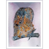 Wiewiórka I. /240x320 mm/