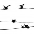 Grafika z ramą - nr 105 ptaki