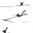 Grafika z ramą - nr 106 ptaki
