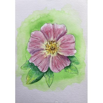 Dzika róża, Yunona Kucherevska, obrazy akwarela