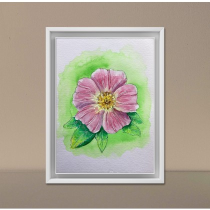 Yunona Kucherevska - obrazy akwarela - Dzika róża foto #1