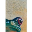 Żaba -rysunek pastelami olejnymi