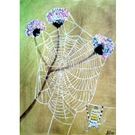 Pająk / 240x320 mm/