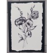 Eustoma