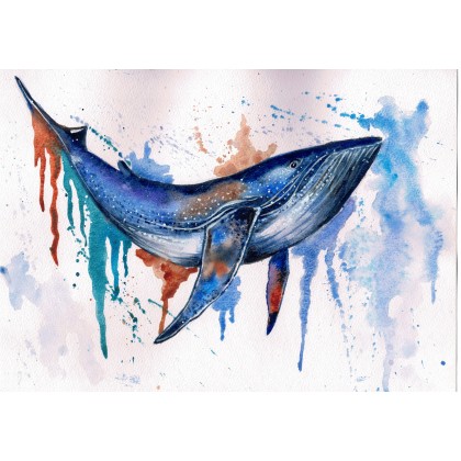 Obraz akwarela wieloryb, Bogdan Tkachenka, obrazy akwarela