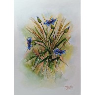 Wspomnienia wiejskiego klimatu, 3 Akwarele