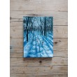 Zimowy las, akryl 13x18 cm