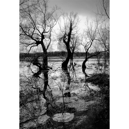 Zima na rozlewisku, Cezary Tymczuk, fotografia artystyczna