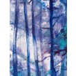 Błękitny las