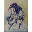 KONIK 1