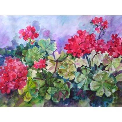 Pelargonia, Anna Dziadkowiec-Bisztyga, obrazy akwarela