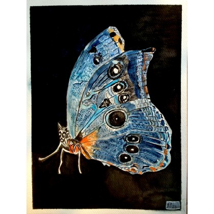 Motylek, akwarela  /240x320 mm/, Bogumiła Szufnara, obrazy akwarela