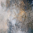 Wiosna-obraz akrylowy 60/60 cm