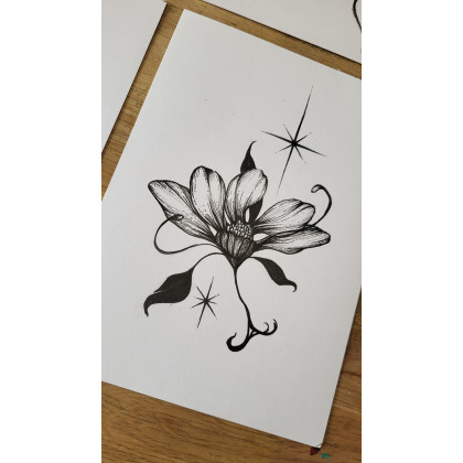 Jessica Popko - Grafika cyfrowa - grafiki Zielnik Magiczny foto #4