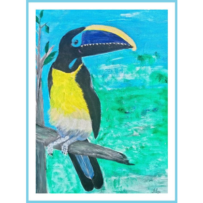 Tukan    (30x40 cm), Bogumiła Szufnara, obrazy akryl