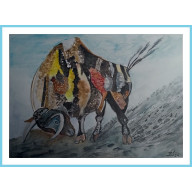 FERNANDO. /320X240 MM/