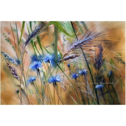 Między wierszami 31 cm x 46 cm, Joanna Magdalena, wydruki na papierze