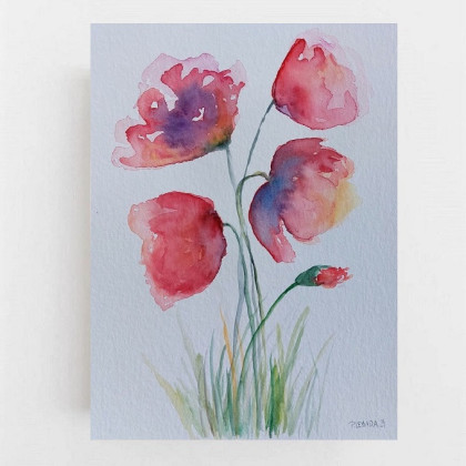 Maki-  akwarela 32/24  cm, Paulina Lebida, obrazy akwarela