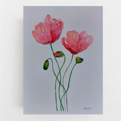 Maki-  akwarela 32/24  cm, Paulina Lebida, obrazy akwarela