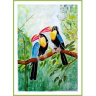 Tukany. / 240x320 mm/