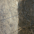 Surowy rozkwit 100x50cm