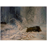 DZIKI OBRAZ OLEJNY 54-41CM